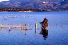 Lago-di-Varano